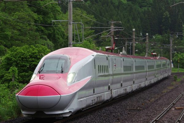 Large 20250523 01